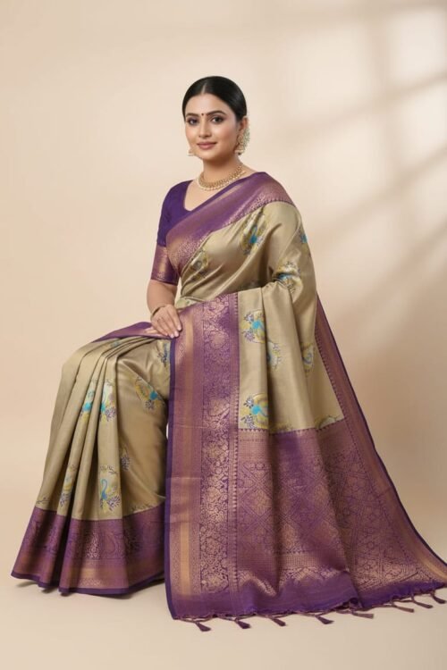 Meena cut work saree